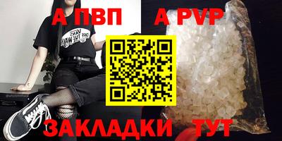 индика Кингисепп