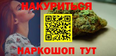 индика Кингисепп