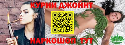 индика Кингисепп