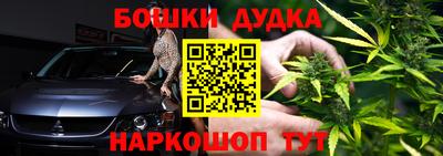 индика Кингисепп