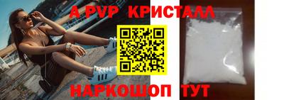 индика Кингисепп