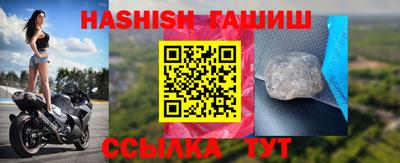 индика Кингисепп