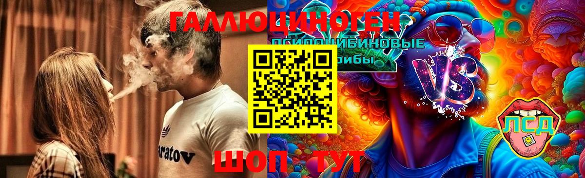 Псилоцибиновые грибы Psilocybine cubensis  Вход с VPN  Кирово-Чепецк 