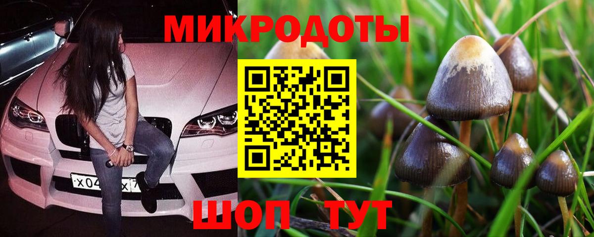 Псилоцибиновые грибы Cubensis Кирово-Чепецк
